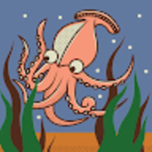 Meet your Posher, Cecilia